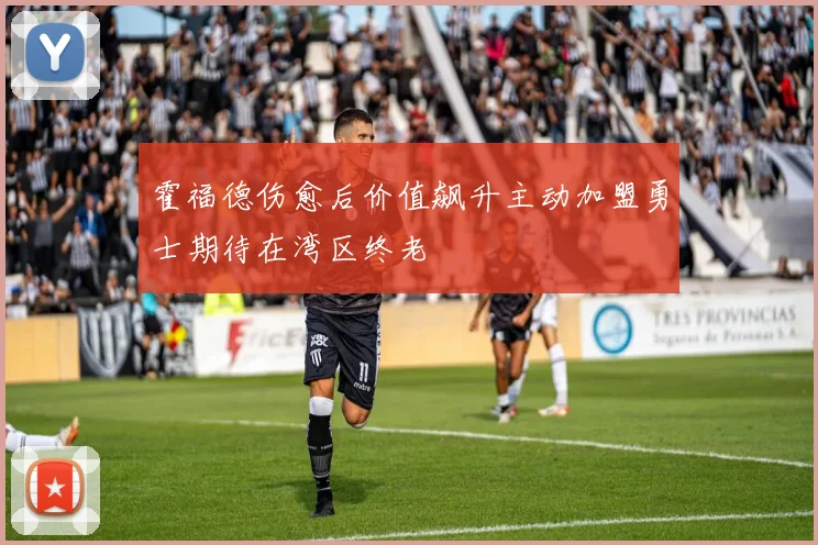霍福德伤愈后价值飙升主动加盟勇士期待在湾区终老